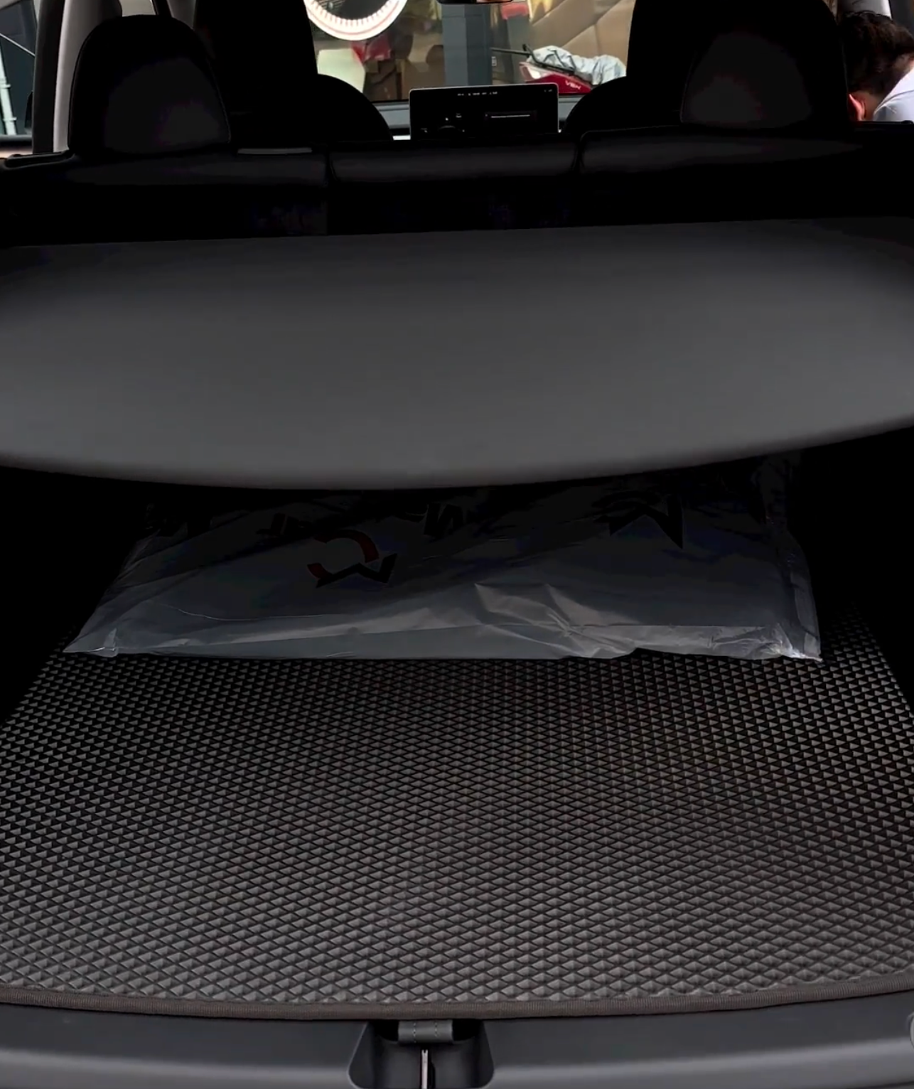 Model Y Luggage Carpet