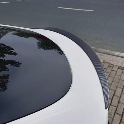 Model Y Spoiler