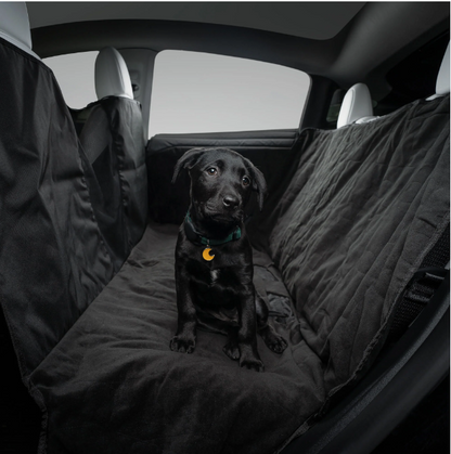 Tesla Seat Protector